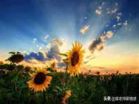 上海罡以信息咨询有限公司