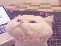 上海罡以信息咨询有限公司