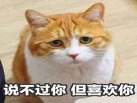 上海罡以信息咨询有限公司