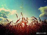 上海罡以信息咨询有限公司