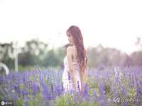 上海罡以信息咨询有限公司