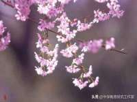 上海罡以信息咨询有限公司