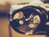 上海罡以信息咨询有限公司