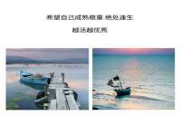 上海罡以信息咨询有限公司