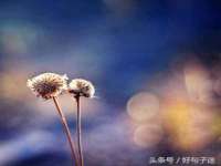 上海罡以信息咨询有限公司