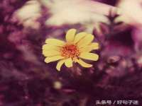 上海罡以信息咨询有限公司