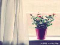 上海罡以信息咨询有限公司