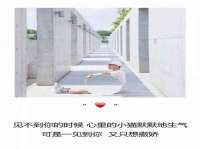 上海罡以信息咨询有限公司