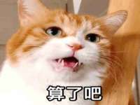 上海罡以信息咨询有限公司