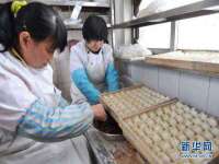 上海罡以信息咨询有限公司