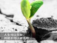 上海罡以信息咨询有限公司