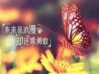 上海罡以信息咨询有限公司