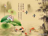 上海罡以信息咨询有限公司