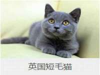 上海罡以信息咨询有限公司