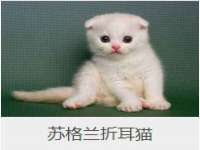 上海罡以信息咨询有限公司