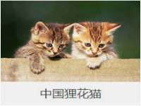 上海罡以信息咨询有限公司
