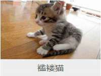 上海罡以信息咨询有限公司