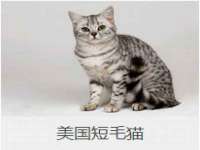 上海罡以信息咨询有限公司