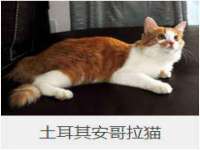 上海罡以信息咨询有限公司