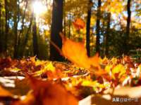 上海罡以信息咨询有限公司