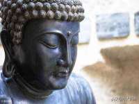 上海罡以信息咨询有限公司