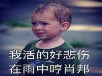 上海罡以信息咨询有限公司