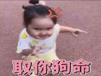 上海罡以信息咨询有限公司