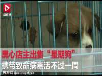 上海罡以信息咨询有限公司