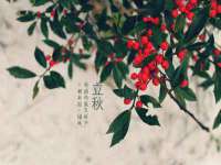上海罡以信息咨询有限公司