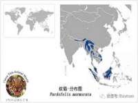 上海罡以信息咨询有限公司