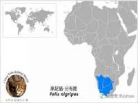 上海罡以信息咨询有限公司