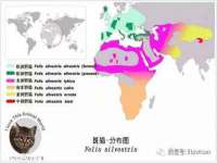 上海罡以信息咨询有限公司