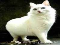 上海罡以信息咨询有限公司
