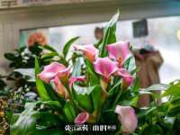 上海罡以信息咨询有限公司