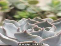 上海罡以信息咨询有限公司