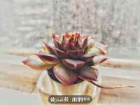 上海罡以信息咨询有限公司