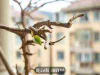 上海罡以信息咨询有限公司