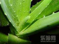 上海罡以信息咨询有限公司