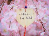 上海罡以信息咨询有限公司
