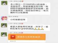 上海罡以信息咨询有限公司