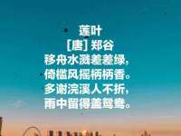 上海罡以信息咨询有限公司