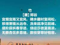 上海罡以信息咨询有限公司