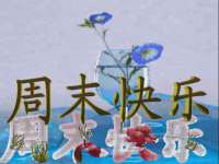 上海罡以信息咨询有限公司
