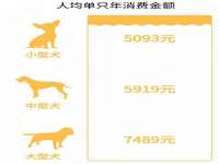 上海罡以信息咨询有限公司