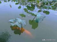 上海罡以信息咨询有限公司