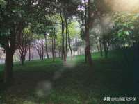 上海罡以信息咨询有限公司