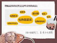 上海罡以信息咨询有限公司