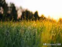 上海罡以信息咨询有限公司