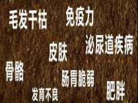 上海罡以信息咨询有限公司