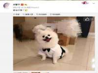 上海罡以信息咨询有限公司